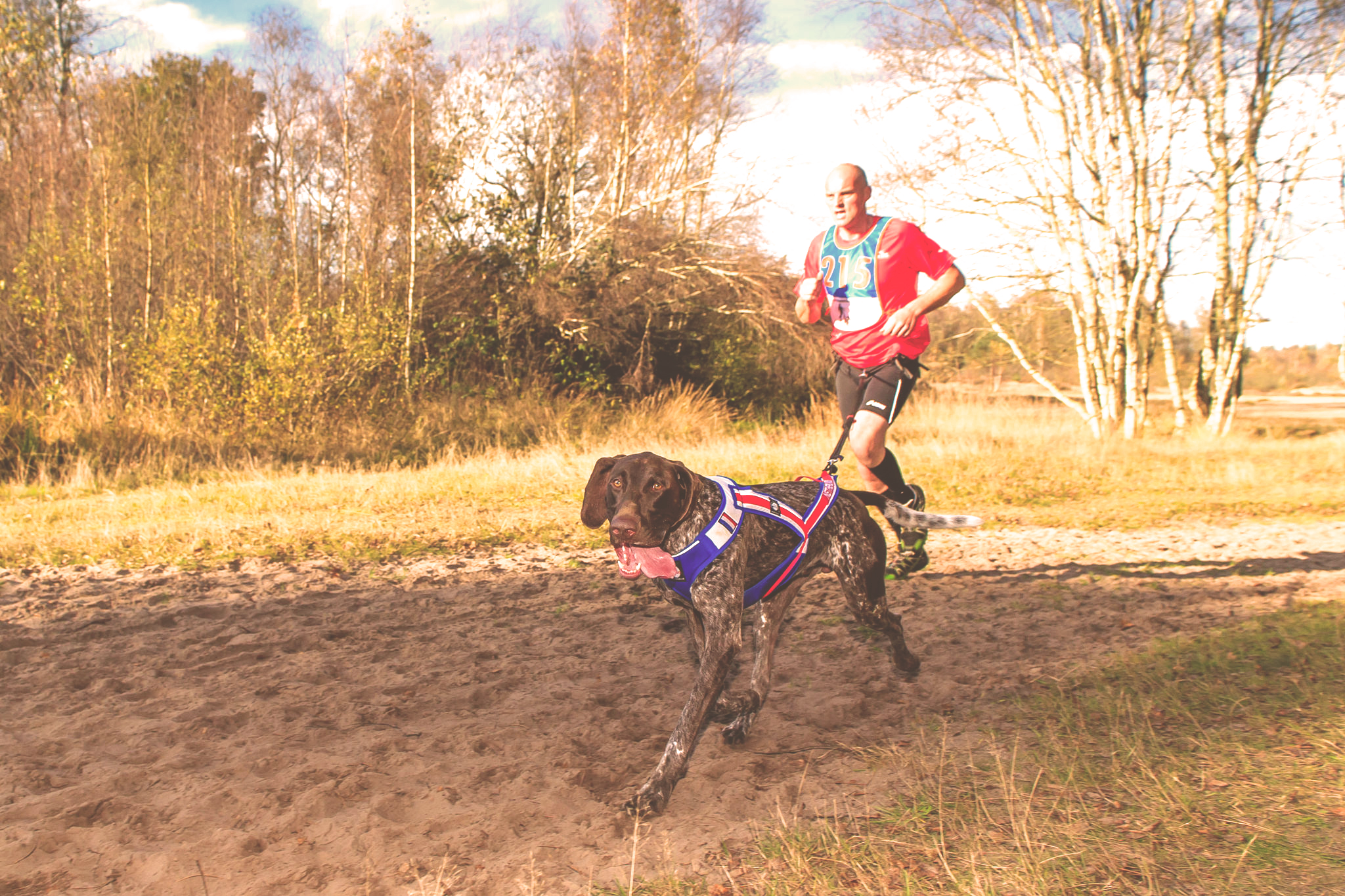 Canicross o Dog Trekking: haciendo deporte con tu perro 7