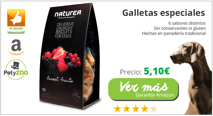 galletas-perros-deliciosas-sabores