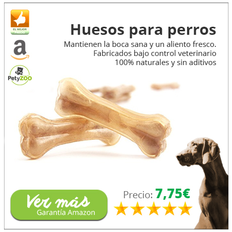 snacks-perro-1