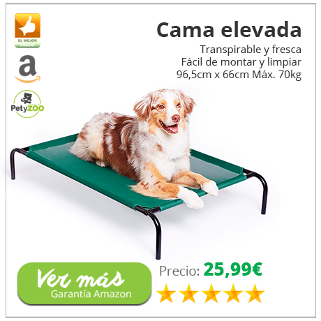 cama-elevada-perro-descanso-petyzoo