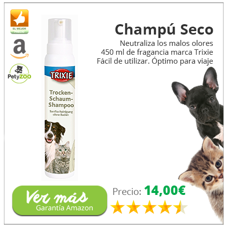 champu-seco-mascotas