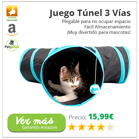 juego-tunel-3