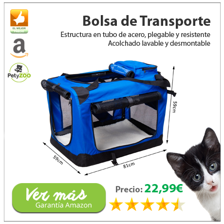 bolsa-transporte