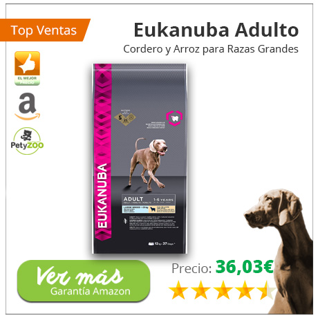 Cómo ahorrar en la alimentación de tu mascota sin perder en calidad 9