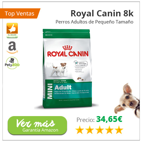 Cómo ahorrar en la alimentación de tu mascota sin perder en calidad 13